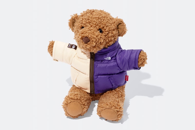 Supreme x The North Face Spring 2024 Collection lookbooks Taped Seam Shell Jacket, Nuptse Jacket, 6-Panel and Waist Bag 