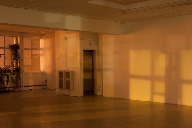 Wolfgang Tillmans Reflects on Time and Temporality in New Exhibition