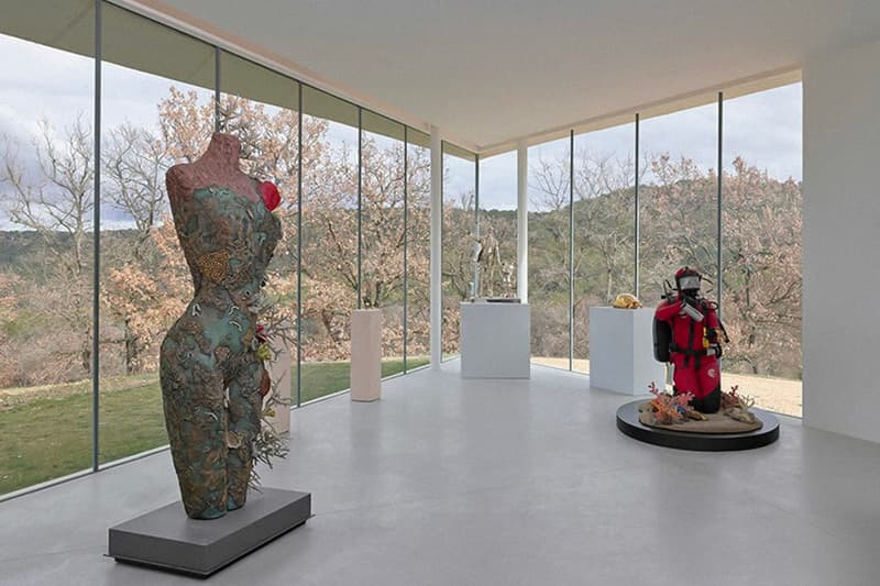 Damien Hirst ‘The Light That Shines’ Exhibition Château La Coste Provence Info