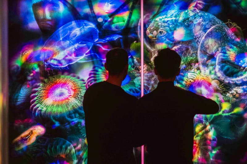 Josèfa Ntjam’s Solo Exhibition at Fotografiska New York Examines Diasporic Resistance Through an Afrofuturist Lens