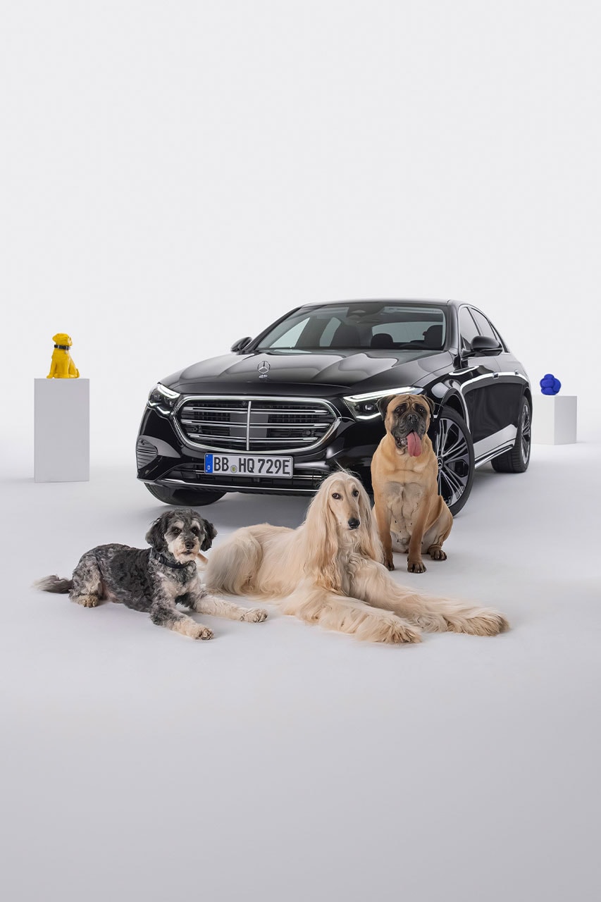 Mercedes Benz MBUX Bark Assist Feature Release Info