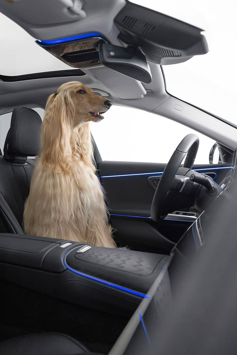 Mercedes Benz MBUX Bark Assist Feature Release Info