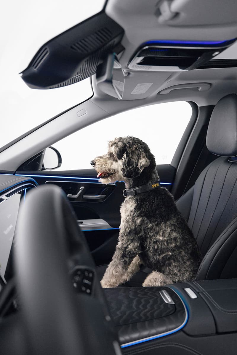 Mercedes Benz MBUX Bark Assist Feature Release Info