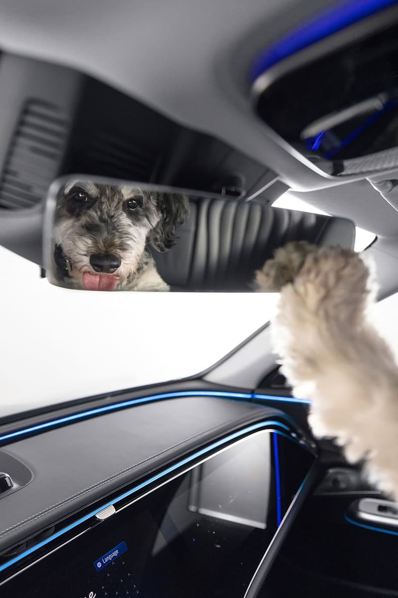 Mercedes Benz MBUX Bark Assist Feature Release Info