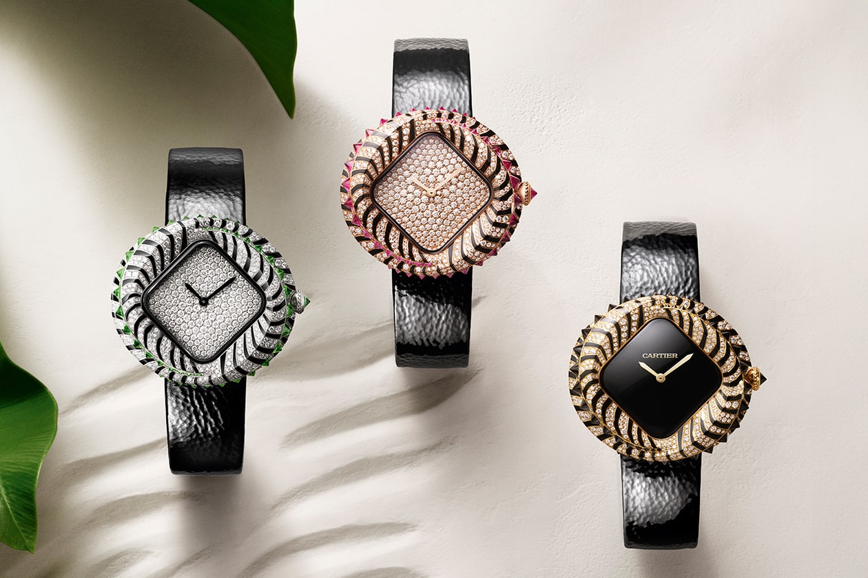 Cartier obserwuje i zastanawia się, nowe informacje z 2024 roku