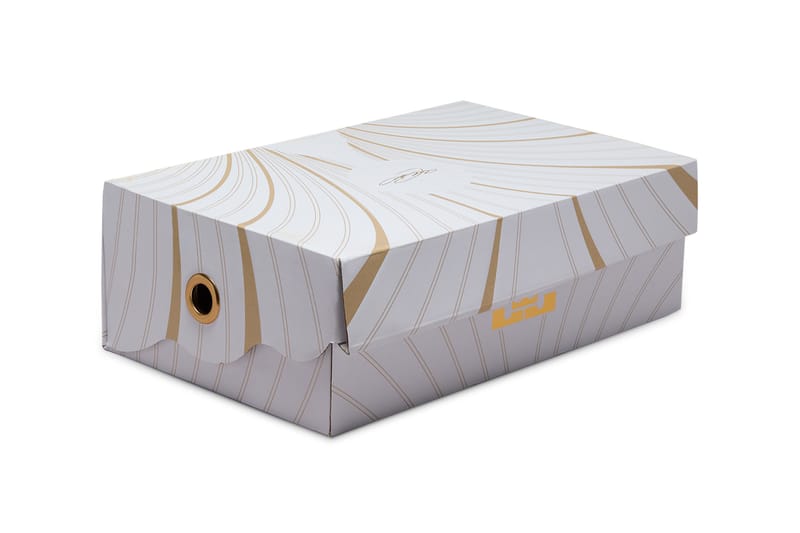 lebron shoes box