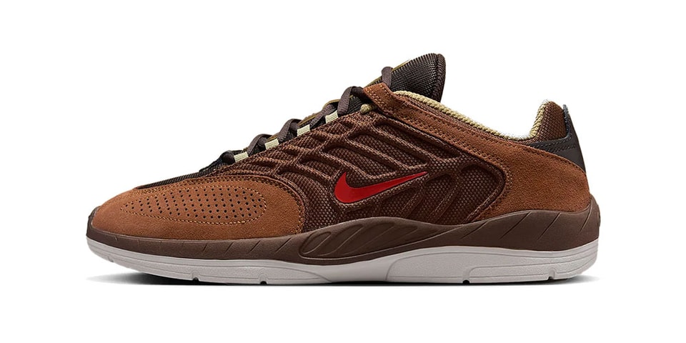 nike-sb-vertebrae-bison-  display picture 1