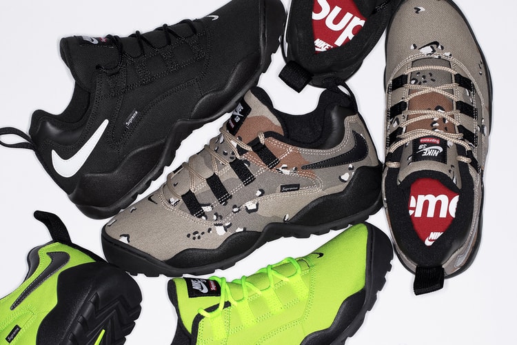 Supreme Officially Unveils the Nike SB Darwin Low
