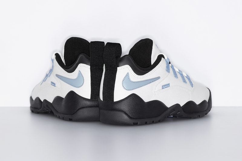 Supreme Nike SB Darwin Low Spring 2024 Collaboration Release Info