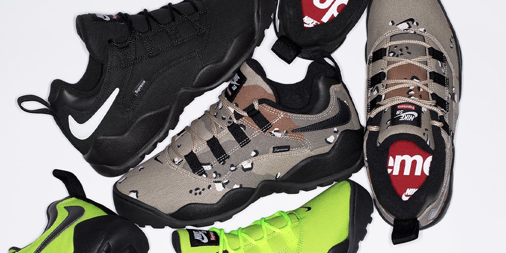 Supreme Officially Unveils the Nike SB Darwin Low