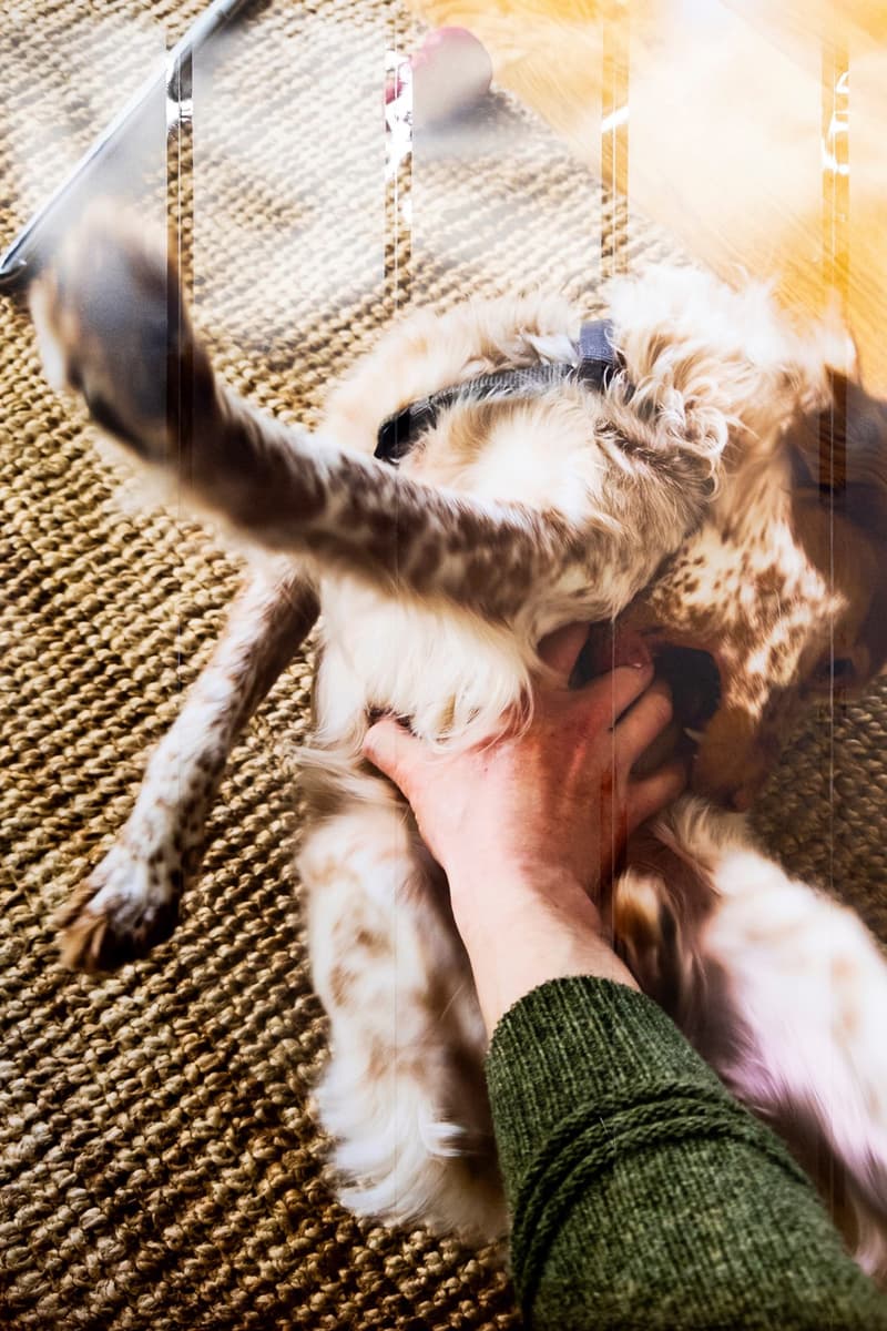 camera roll orgy exhibition photography ryan mcginley lucien smith jack pierson thomas polcaster