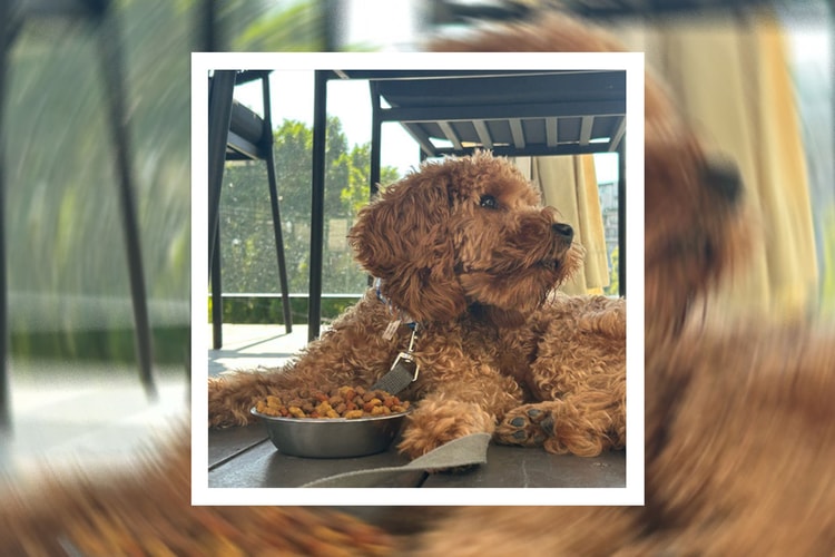 skaiwater and KARRAHBOOO Double Down on "wna torture me tn?"