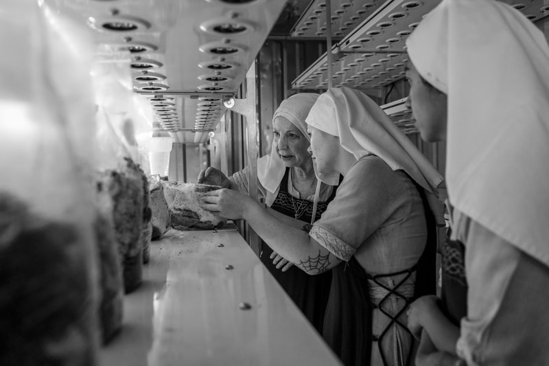 Daniel Malikyar Weed Nuns Photography Art Series