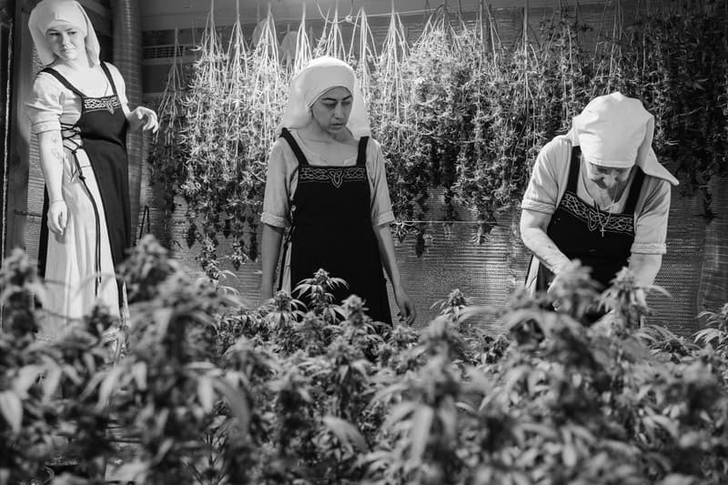 Daniel Malikyar Weed Nuns Photography Art Series