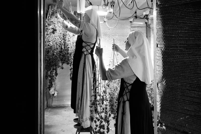 Daniel Malikyar Weed Nuns Photography Art Series