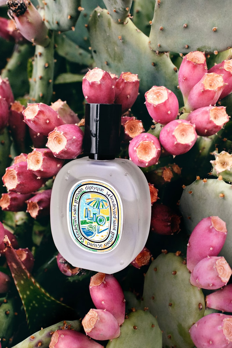 Diptyque Is Having a Mediterranean Summer collection candle scent olfactory range collection link price purchase hedonistic french perfume wick hair mist body spray website store new york city 