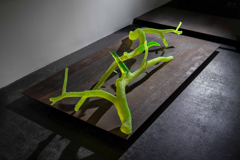 after human exhibition alice zucca