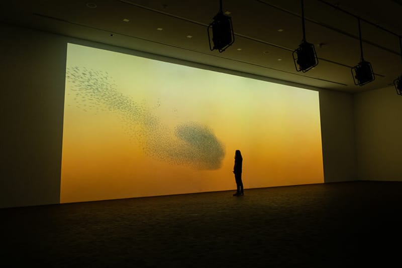 DRIFT Showcases 'Living Landscape' at LUMA Arles