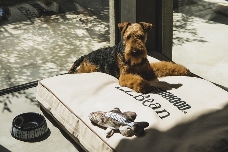 NEIGHBORHOOD Launches Essential Pet Supplies “Dogs” Series