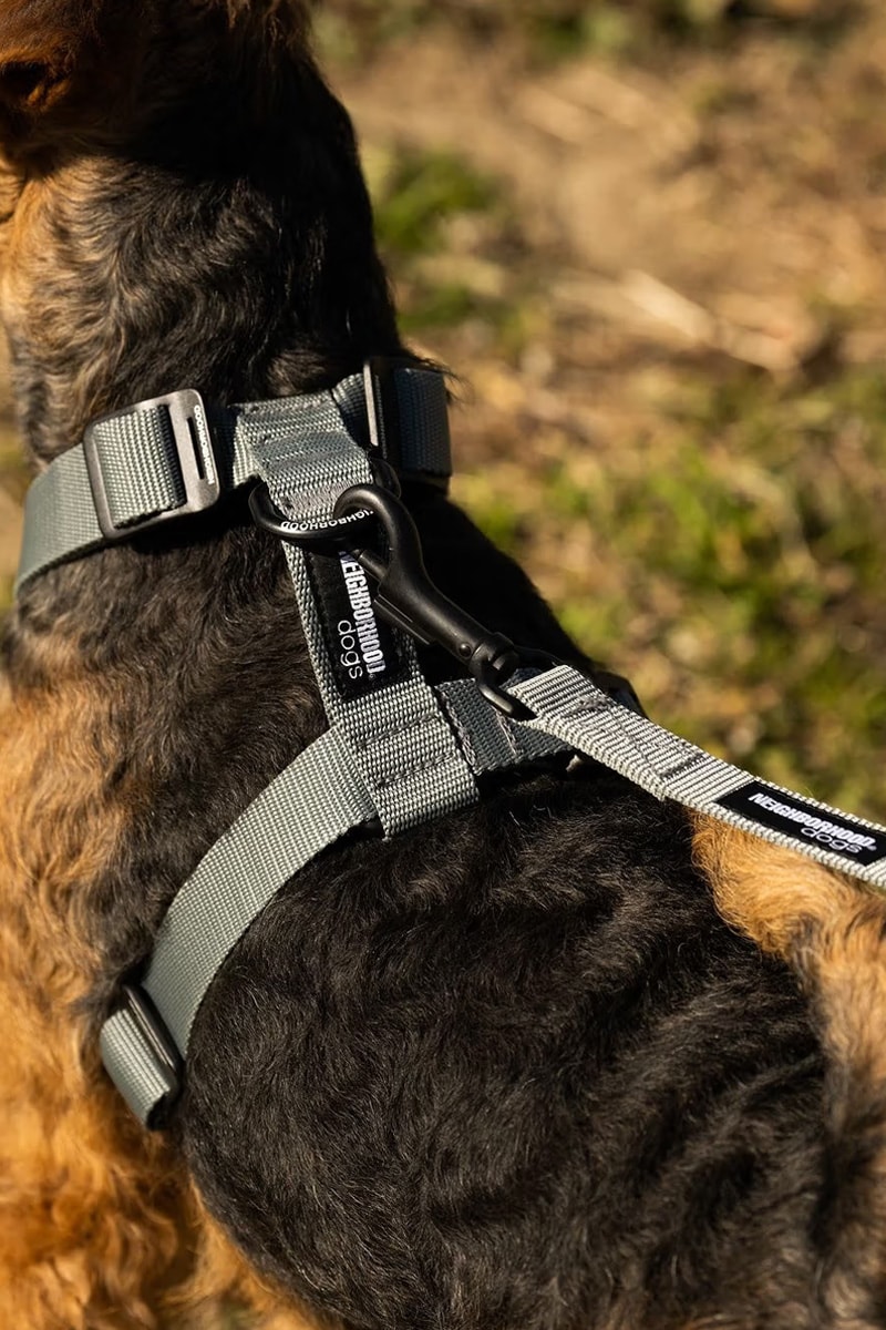 NEIGHBORHOOD “Dogs” Series Info Spring Summer 2024 Pet supplies L.L. Bean Medicom