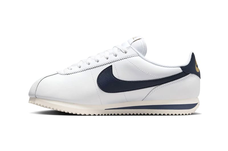 ice cube nike cortez
