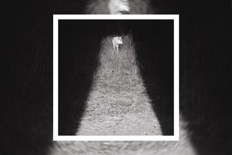 Zacari Announces ‘Bliss’ Short Film and Debut Album