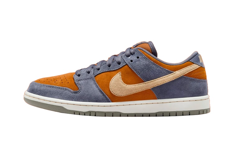 Official Images of the Nike SB Dunk Low “Light Carbon”