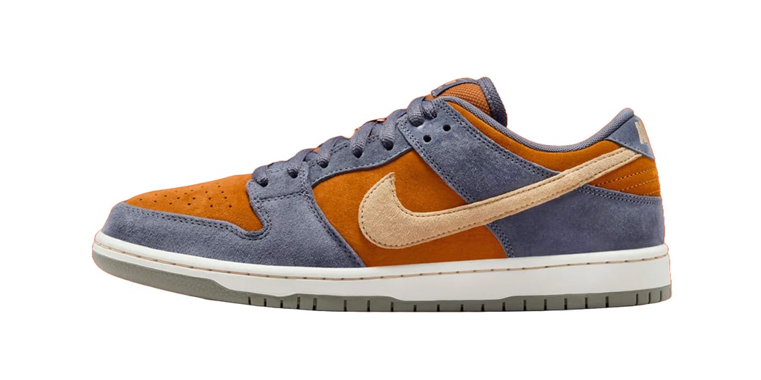 Official Images of the Nike SB Dunk Low “Light Carbon”