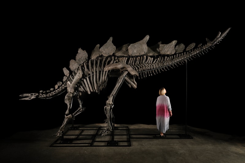 Sotheby’s Stegosaurus Dinosaur Fossil Auction Record
