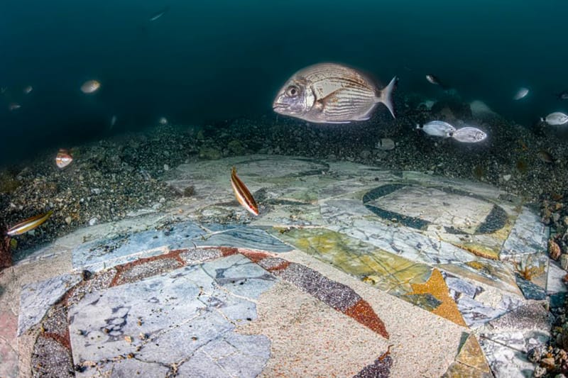 Lavish Seafloor Mosaics Discovered off Coast of Naples