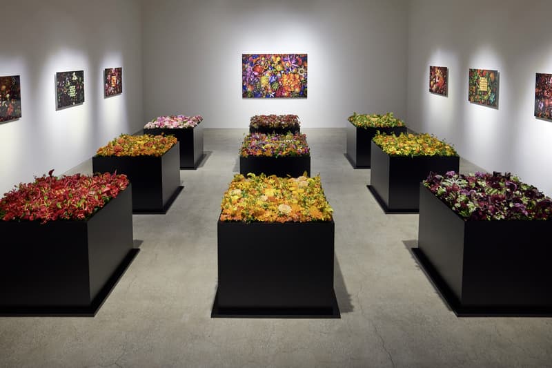 Natsuko Shoji été 10th Anniversary interview Kaikai Kiki Gallery Makoto Azuma mango tart verdy logo takashi murakami gallery