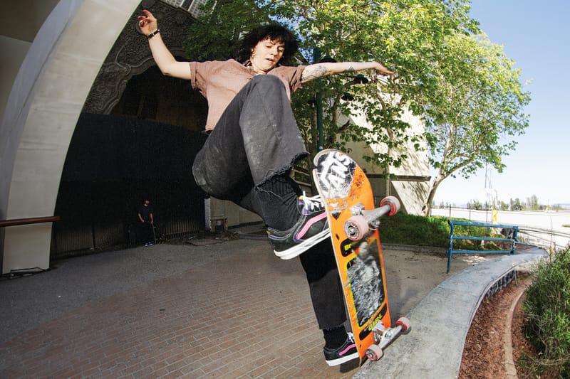 vans skate