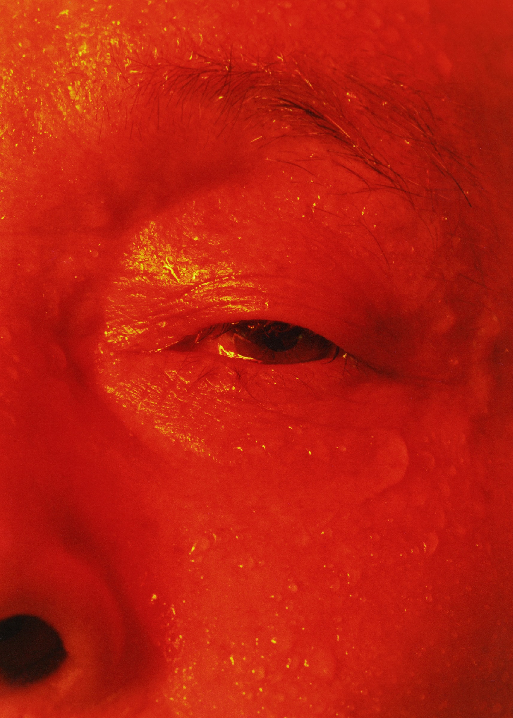 Through the Lens: Theo Cottle