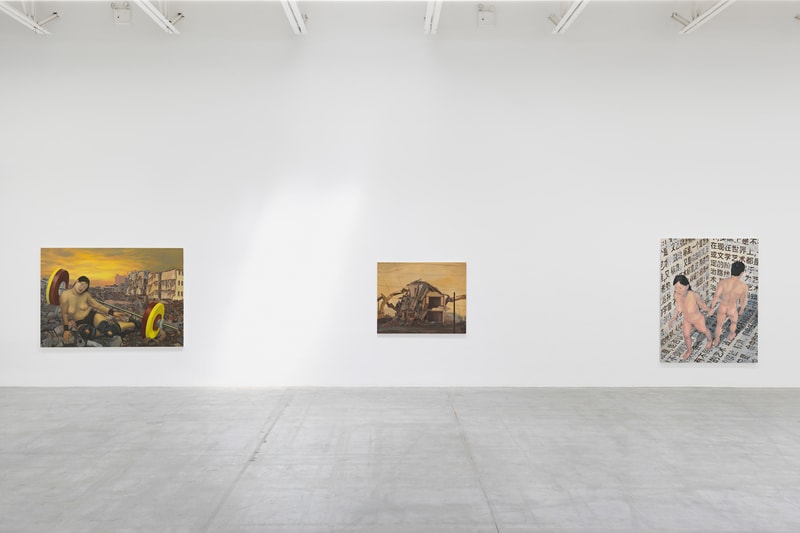 Amanda Ba Developing Desire Jeffrey Deitch Gallery Solo Exhibition Art Artwork Armory Week