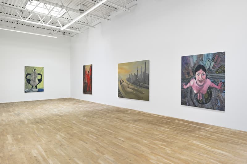 Amanda Ba Developing Desire Jeffrey Deitch Gallery Solo Exhibition Art Artwork Armory Week