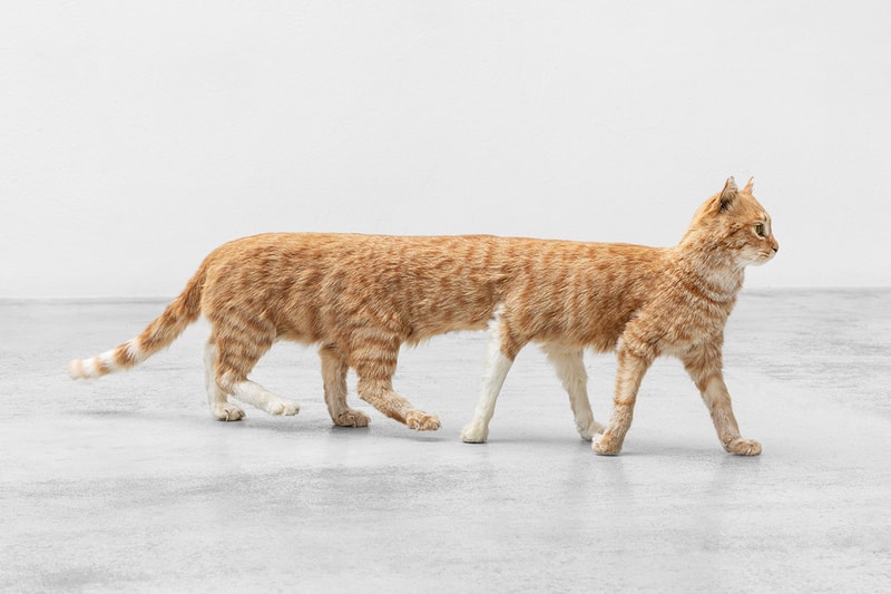 Kunsthal Charlottenborg Poetics of Encryption Exhibition