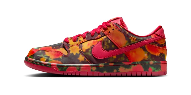 nike dunk jan 14