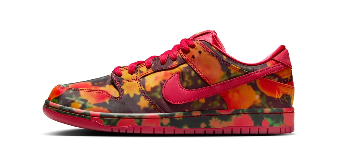 New Nike SB Dunk Low Pro WOO QS Shoes Mens Size 8 Red Wizard Of Oz FZ1291 600 Nike SB Dunk Low Pro  main image 4