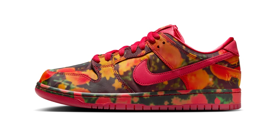 The Wizard of Oz Nike SB Dunk Low FZ1291-600 Release | Hypebeast display picture 2