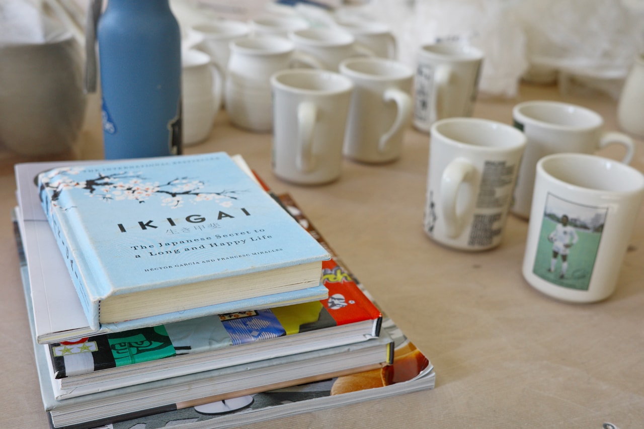 Hypeart Visits: Lev Rosenbush