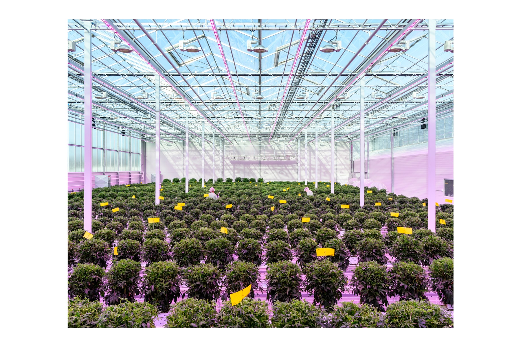 alastair philip wiper through the lens building stories nike photography