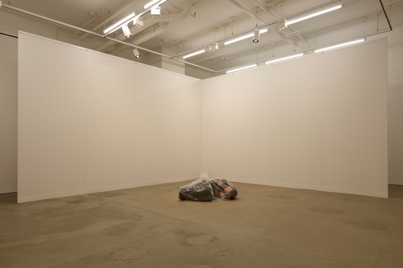 Josh Kline Social Media Lisson Gallery Exhibitions Art Artworks New York