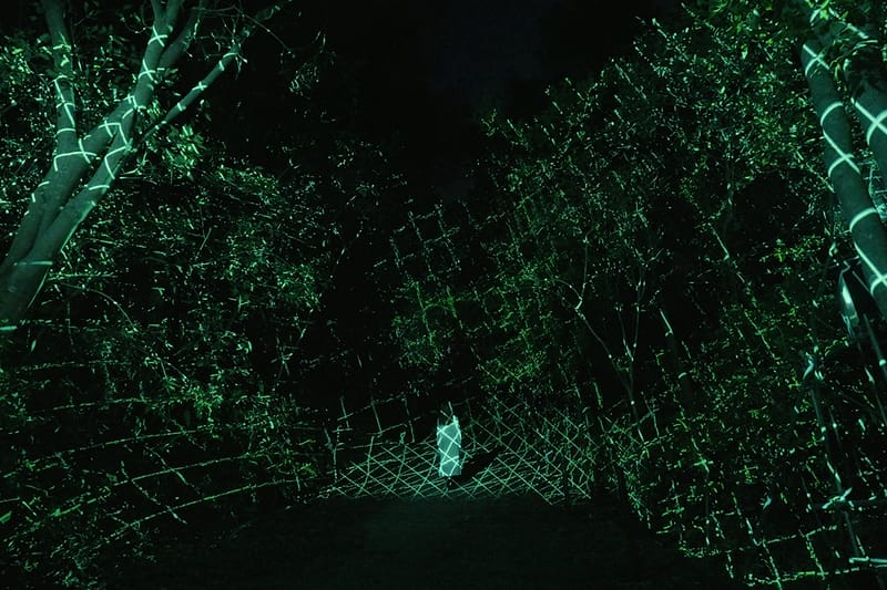 Step Into teamLab’s ‘Hidden Traces of Rice Terraces’ in Ibaraki, Japan