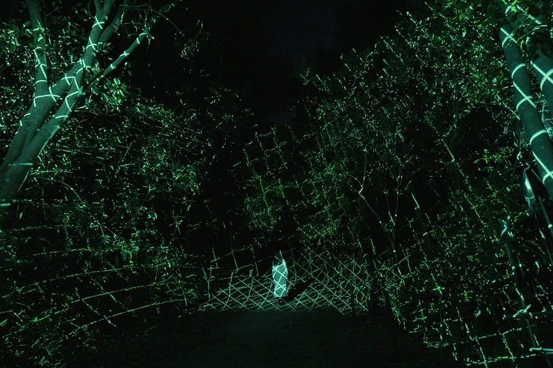 teamLab: Hidden Traces of Rice Terraces Ibaraki Info