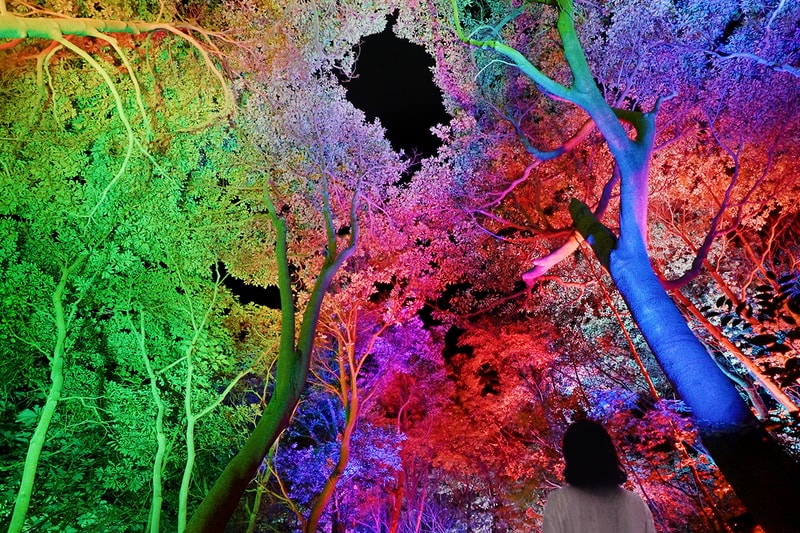 teamLab: Hidden Traces of Rice Terraces Ibaraki Info