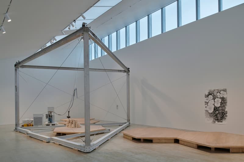 anya gallacio turner contemporary preserve exhibition art artworks