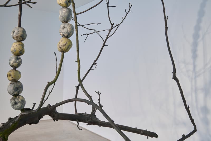 anya gallacio turner contemporary preserve exhibition art artworks