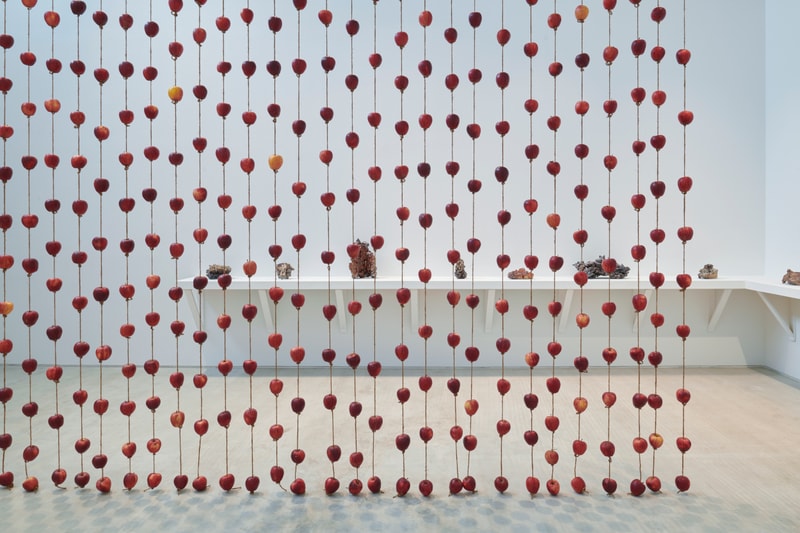 anya gallacio turner contemporary preserve exhibition art artworks