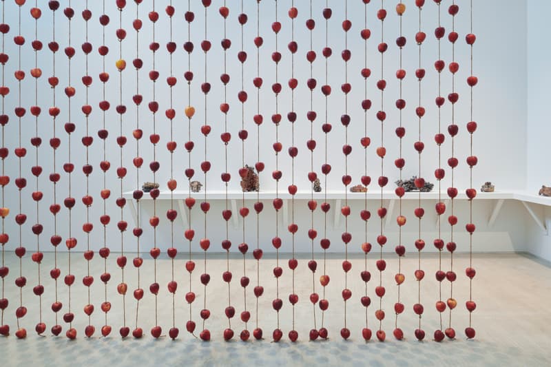 anya gallacio turner contemporary preserve exhibition art artworks