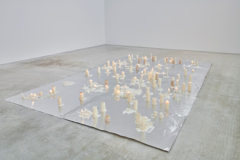 anya gallacio turner contemporary preserve exhibition art artworks